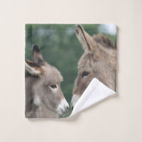 Donkeys