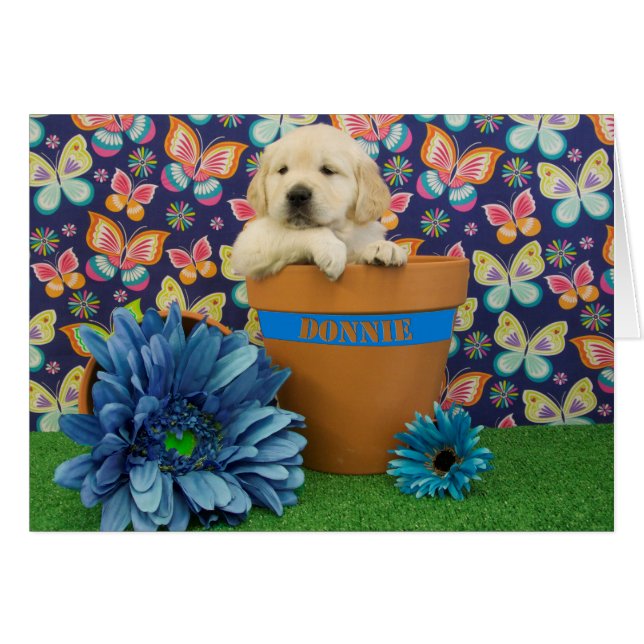 Donnie, week 5 photo (Front Horizontal)