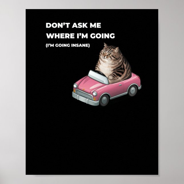 Don't Ask Me Where I'm Going (i'm Going Insane) Wh Poster (Front)