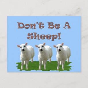 Don't Be a Sheep (Conformity) Postcard