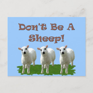 Don't Be a Sheep (Conformity) Postcard