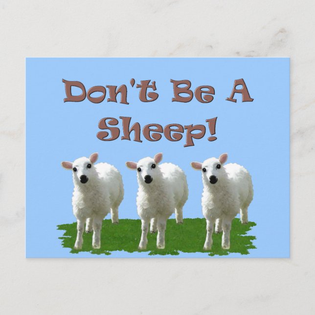 Don't Be a Sheep (Conformity) Postcard (Front)