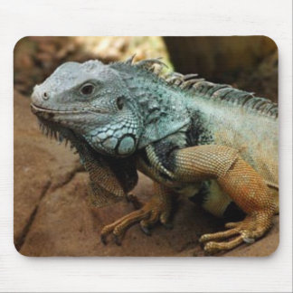 Don't be blue mouse mat