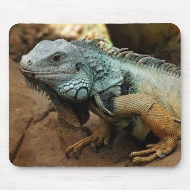 Don't be blue mouse mat (Front)