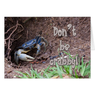 Don't Be Crabby Greeting Card