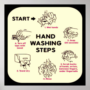 Don't Be Gross: How to Wash Hands Instructional Poster