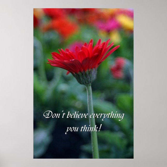 Don't believe everything you think! poster (Front)