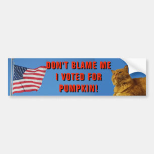 Don't Blame Me I Voted for Pumpkin Bumper Sticker