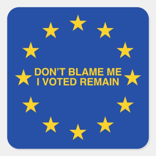 Image of Don't blame me, I voted for Remain Square Sticker