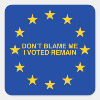 Don't blame me, I voted for Remain Square Sticker