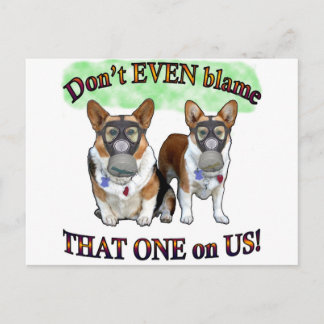 Dont blame US Postcard