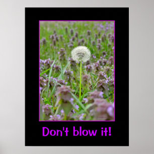 Don't blow it! Dandelion Poster