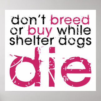 Don't Breed Or Buy Poster