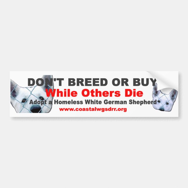 Don't breed or buy while others die bumper sticker (Front)