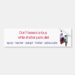 don't breed or buy while shelter pets die bumper sticker