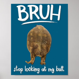 Dont Bruh Look Frog Butt Meme Poster