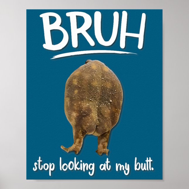 Dont Bruh Look Frog Butt Meme Poster (Front)