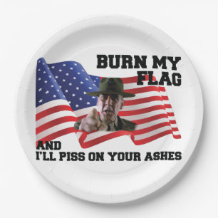 Don't burn my flag paper plate