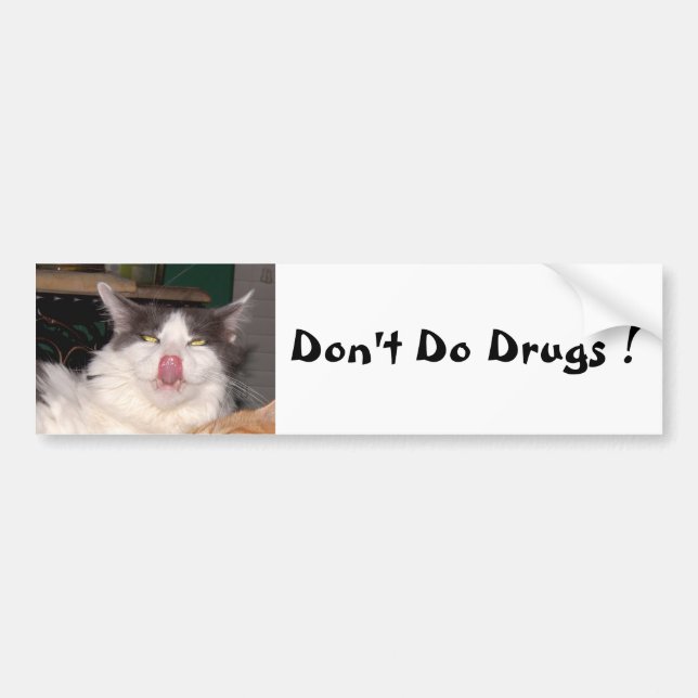 Don't Do Drugs weird cat Bumper Sticker (Front)