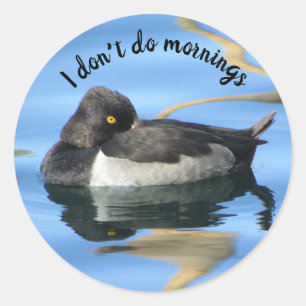 Don't Do Mornings Black White Duck  Photo Humourou Classic Round Sticker