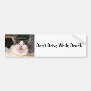Dont drive drunk Funny cat Bumper Sticker