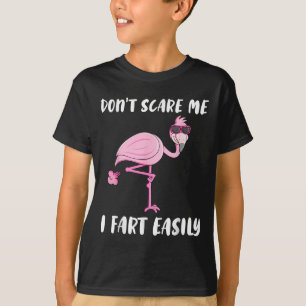 Don't E Me I Fart Easily Funny Flamingo Lover T-Shirt