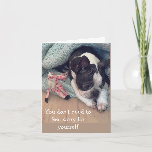 Don't feel sorry card (Front)