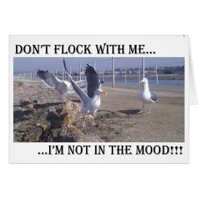 Don't Flock With Me (Front Horizontal)