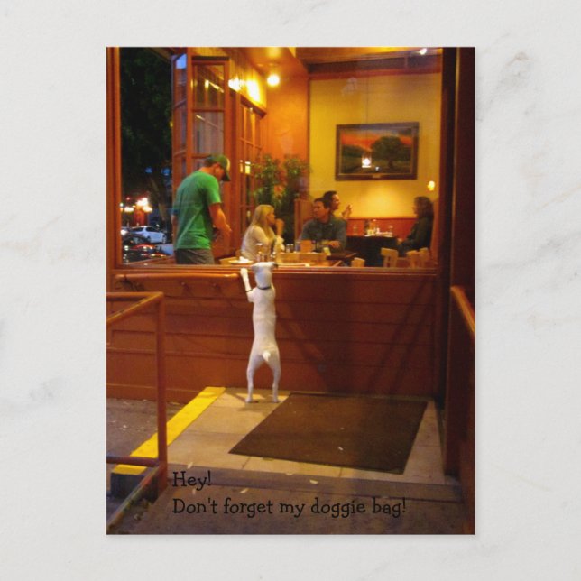 Don't Forget My Doggie Bag! Postcard (Front)