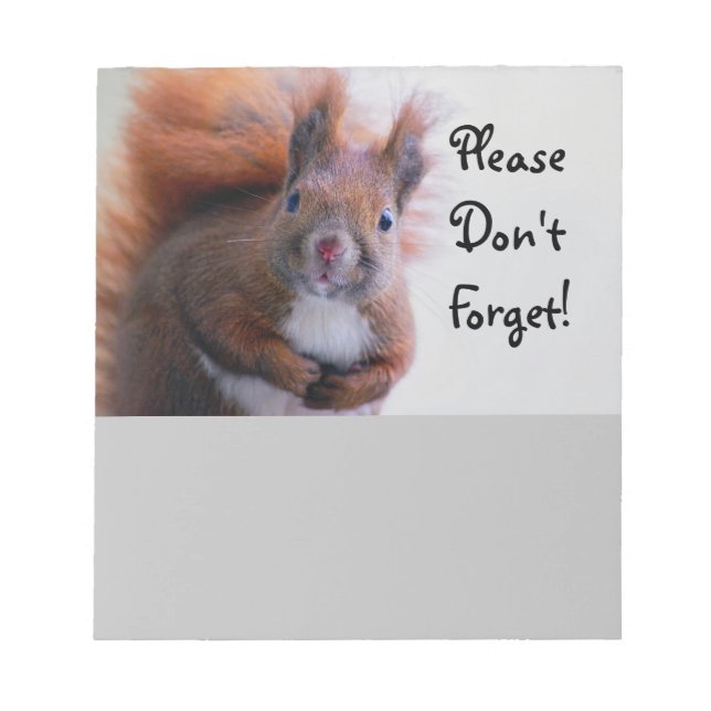 Don't Forget Squirrel Notepad (Front)