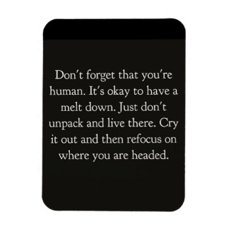 DON'T FORGET THAT YOUR HUMAN OKAY TO MELTDOWN GET MAGNET