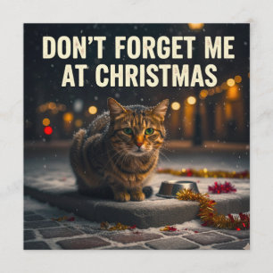 Dont forget the cats at Christmas picture art Invitation