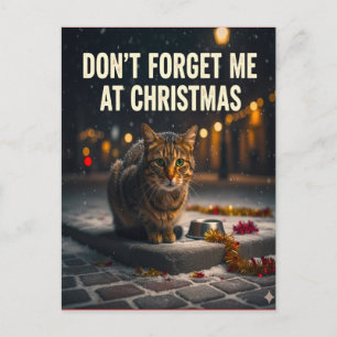 Dont forget the cats at Christmas picture art Postcard