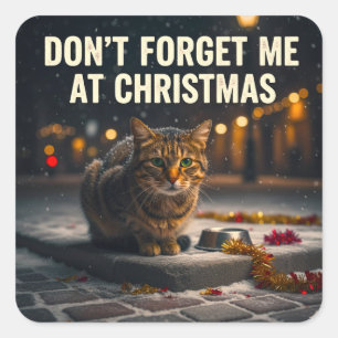 Dont forget the cats at Christmas picture art Square Sticker