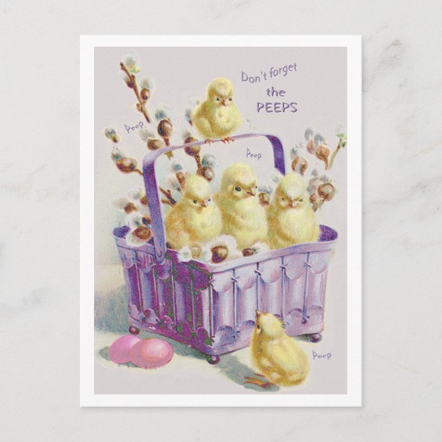 "DON'T FORGET THE PEEPS" EASTER BASKET CHICKS HOLIDAY POSTCARD (Front)