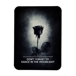 Don't Forget to Dance in the Moonlight Magnet
