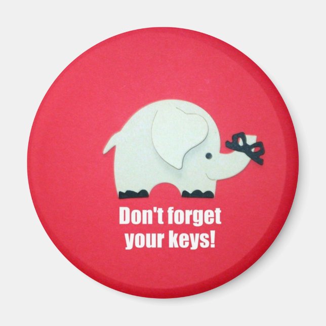 Don't forget your keys! magnet (Front)