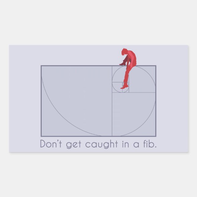 Don't get caught in a fib rectangular sticker (Front)