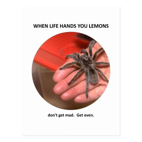 dont-get-mad-get-even postcard