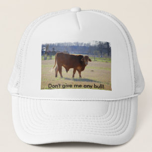 Don't give me any bull! hat