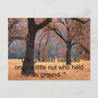 Don't Give Up Postcard