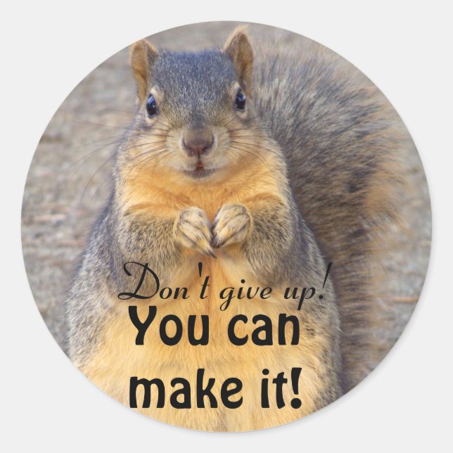 Don't give up!-You can make it_ Classic Round Sticker (Front)