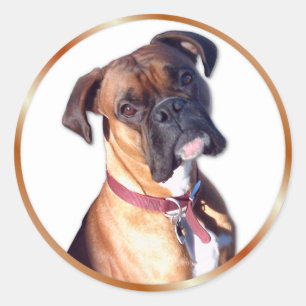 Don't Go Classic Round Sticker