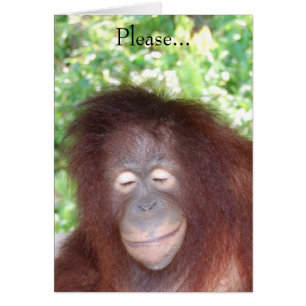 Don't Hate Me Because I'm Beautiful