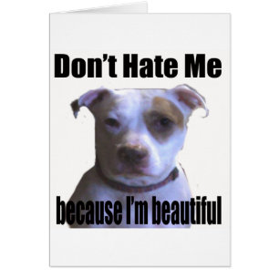 Don't Hate Me because I'm beautiful Pit Bull