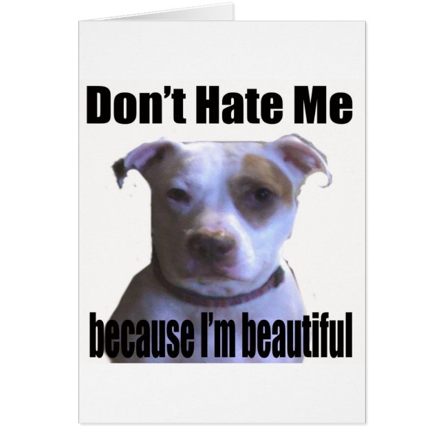 Don't Hate Me because I'm beautiful Pit Bull (Front)