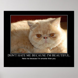 Don't Hate Me...Cat Artwork Funny Poster