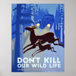 Don't Hurt Our Wildlife Poster