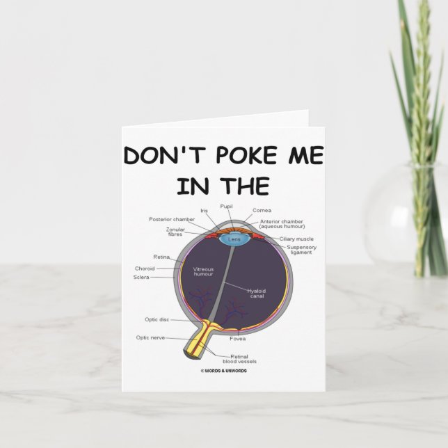 Dont Ke Me In The Eye Eye Anatomy Attitude  Card (Front)