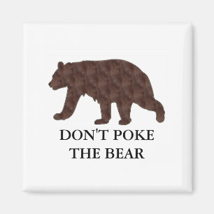 Dont Ke The Bear  Magnet